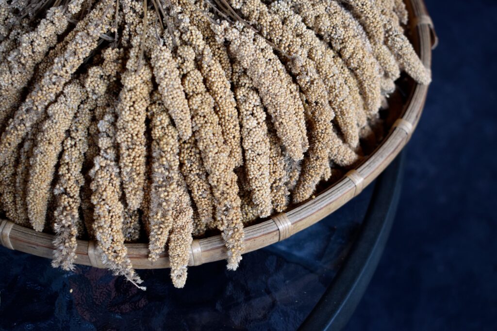 Detailed view of millet sticks artistically arranged in a bamboo winnower basket.