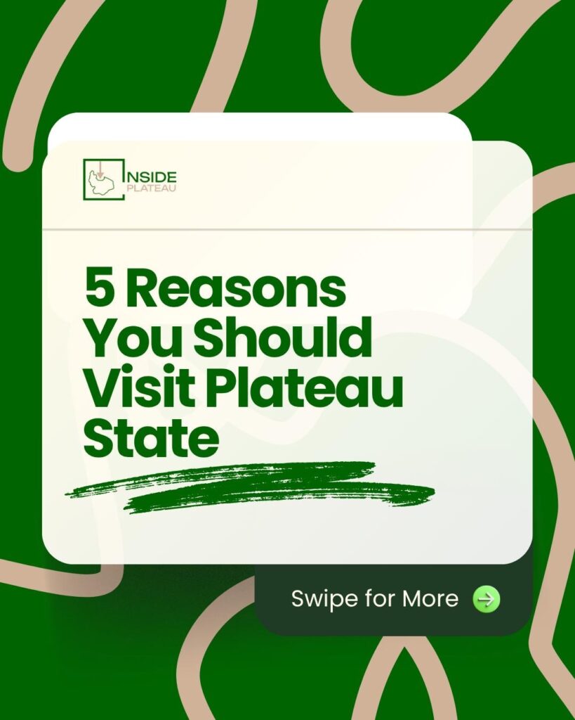 66f1a12e c57b 4285 b7d5 3504d6bacda2 2 1.jpg