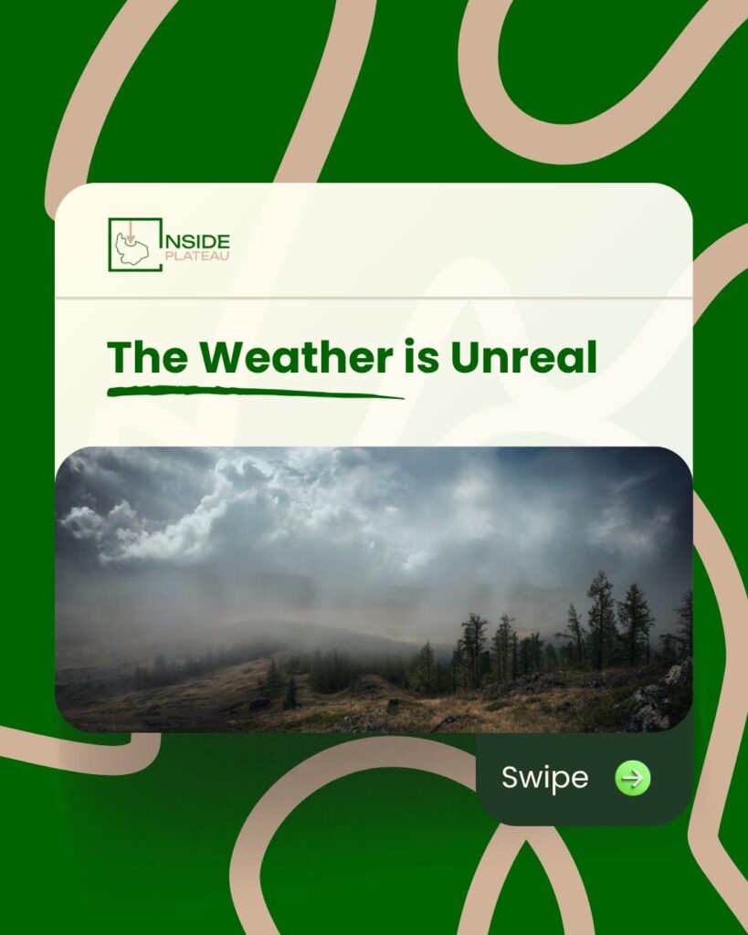 6aba9f20 Ef8c 4021 8751 82e0980dbe1b 2 1 819x1024