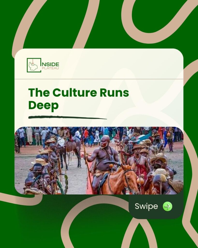 6fe5e010 D2d8 48c5 86e5 31de9af05388 2 1 819x1024