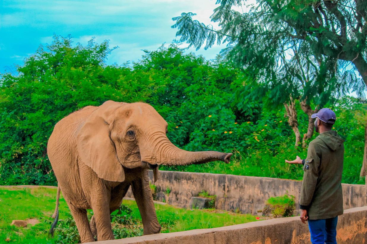 Jos Wildlife Park – A Premier Nature Reserve in Nigeria