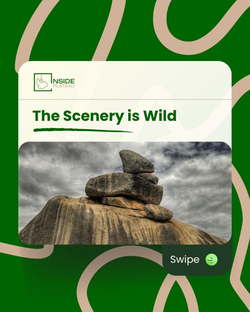 907dcecd 0f89 49f7 A80a Cec90c655aa8 2 1 819x1024