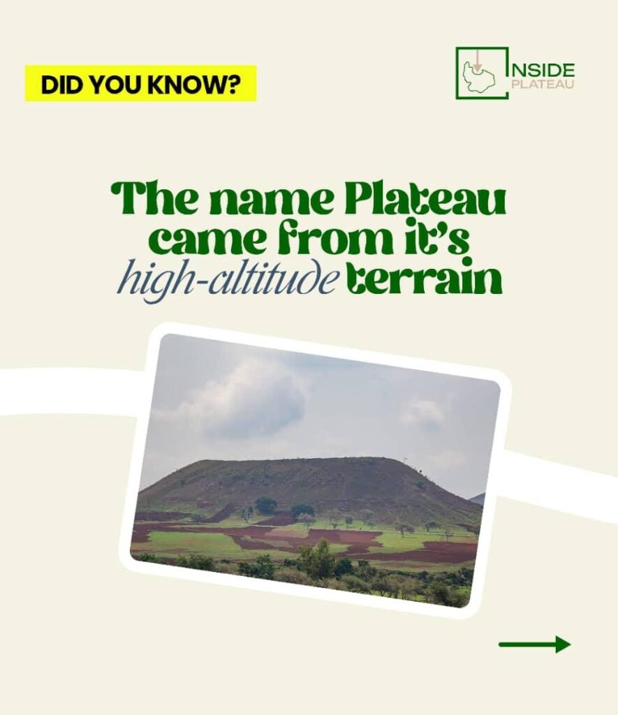 E81f9425 15dd 46a4 8efc F1c1e257921f 1 885x1024