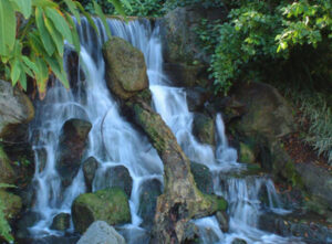 Assop Falls – A Stunning Waterfall in the Heart of Plateau