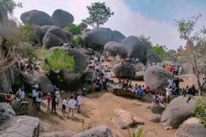 17563750461675194353327051613976 300x200