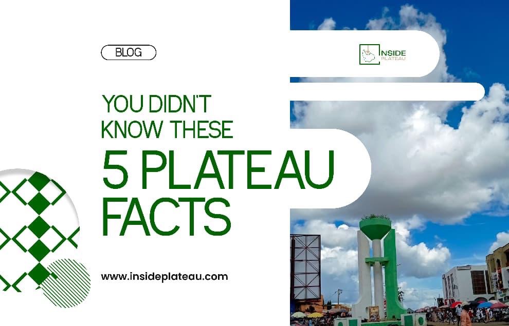 52494956 31e4 4006 a67e 623e8a0bc2bb 1.jpg