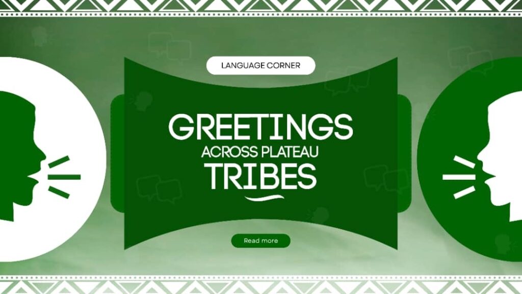 5b6ad7b4 32a4 4de9 bea2 f631805e75cd 1.jpg