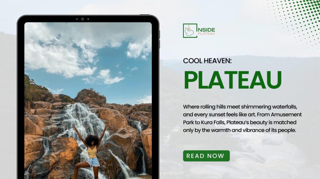 a18398a9 343d 426f b73c e13eaea700f2 1.jpg