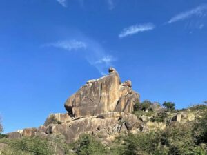 Images 26813103411042397381 300x225