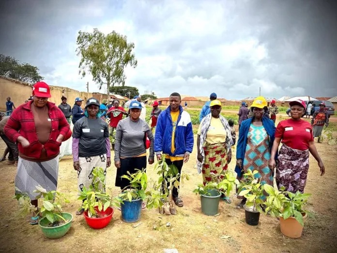 RURCON Launches Tree Planting Project in Bokkos to Restore Environment, Empower Communities Img 3431 1