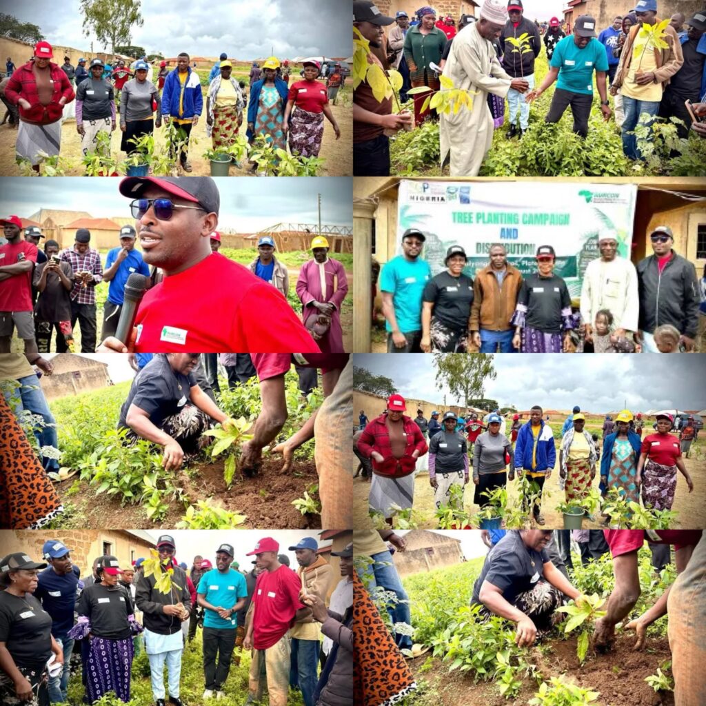 RURCON Launches Tree Planting Project in Bokkos to Restore Environment, Empower Communities photo output 1.jpg