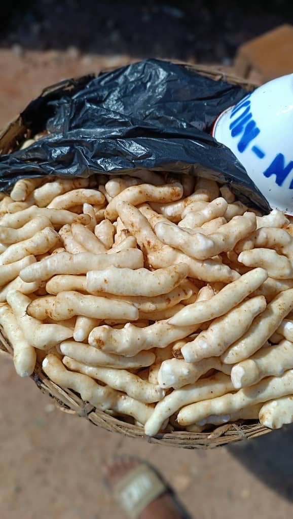 0a4107ff E995 4728 B395 D66812e2d505