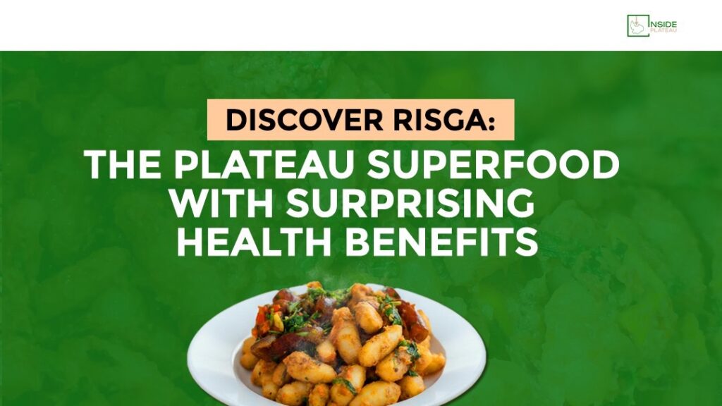 DISCOVER RISGA: THE PLATEAU SUPERFOOD WITH SURPRISING HEALTH BENEFITS 7368ca6a f4b4 44d5 af08 59643d5464c1.jpg