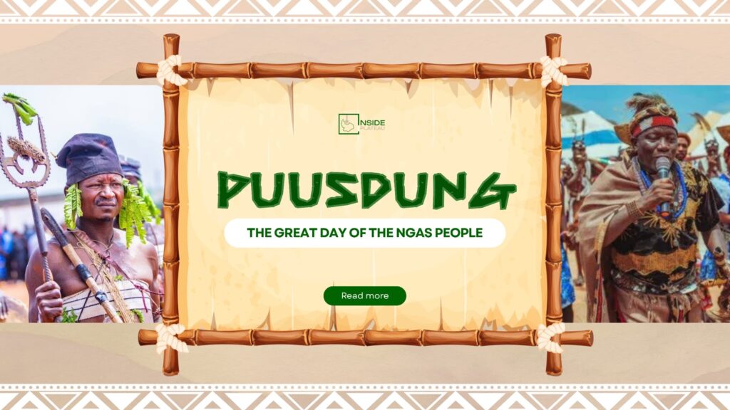 ae31ec68 75d4 4a13 bdf9 9e523e7c2f2c 1.jpg