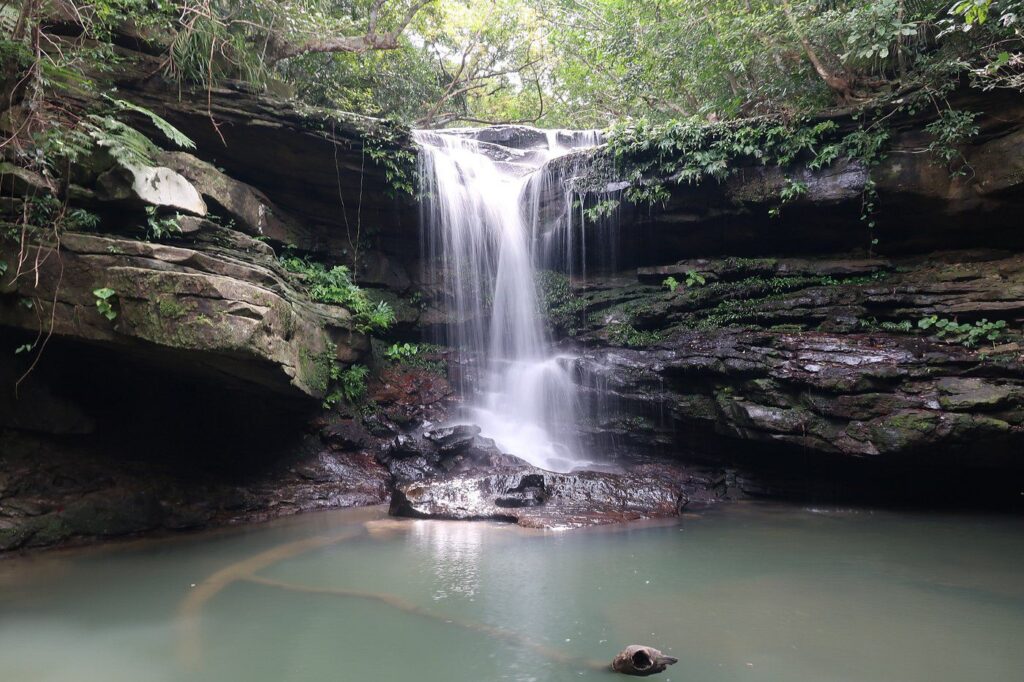 Caption4219190891620911948 1024x682