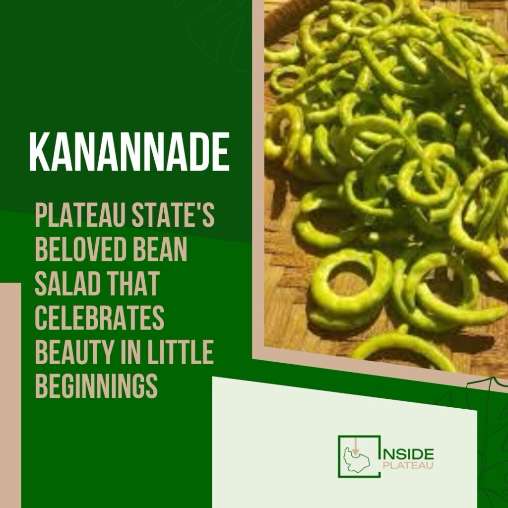 KANANNADE: PLATEAU STATE'S BELOVED BEAN SALAD THAT CELEBRATES BEAUTY IN LITTLE BEGINNINGS f7140df8 e53d 45ef b4b8 7adb87c07ab5.jpg