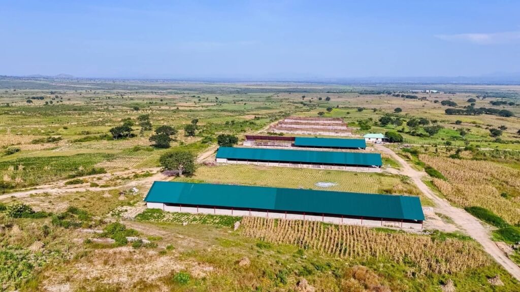 4578a596 f9d8 4a65 b3ef 781a1b648c3f.jpg