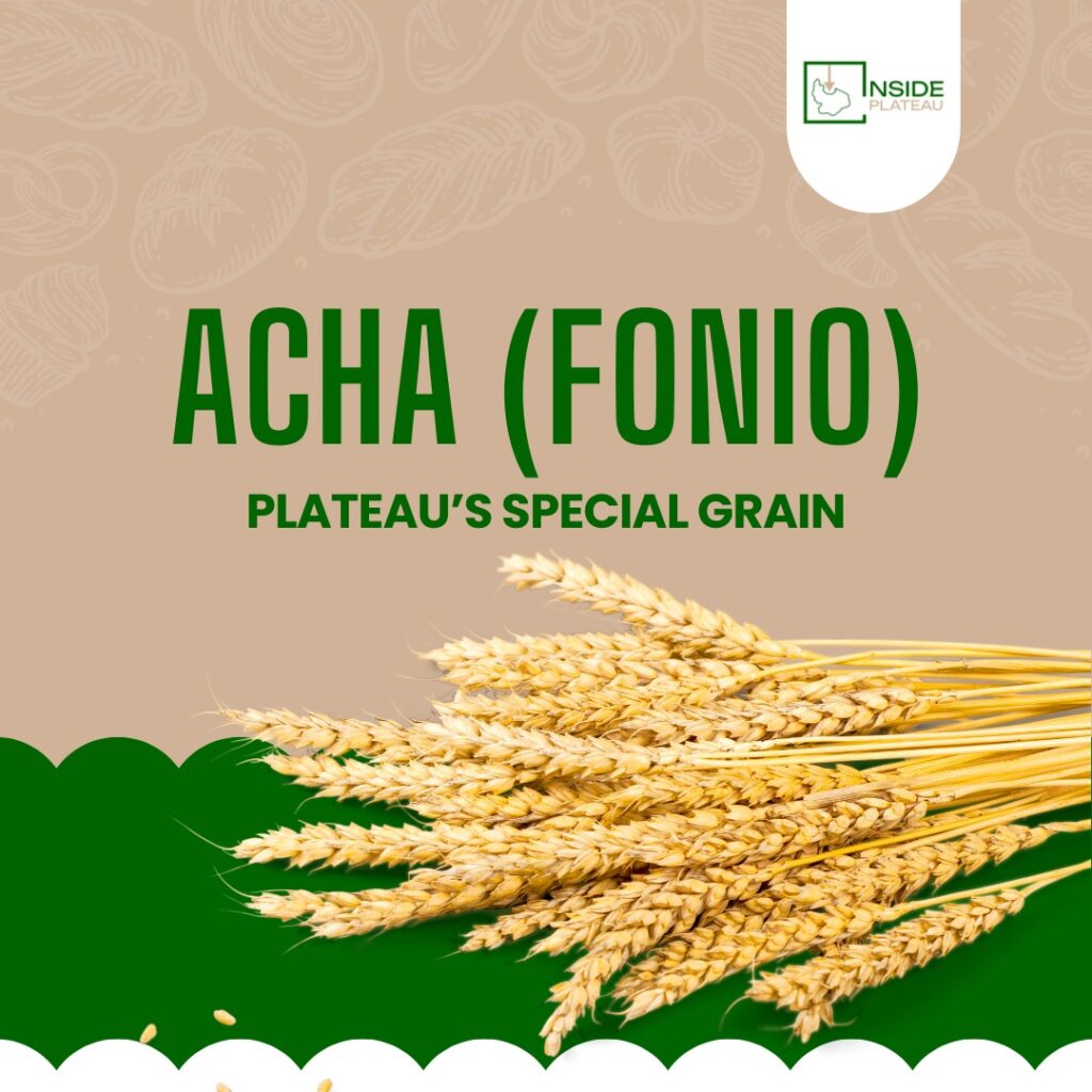 img 20250925 wa0038.jpg