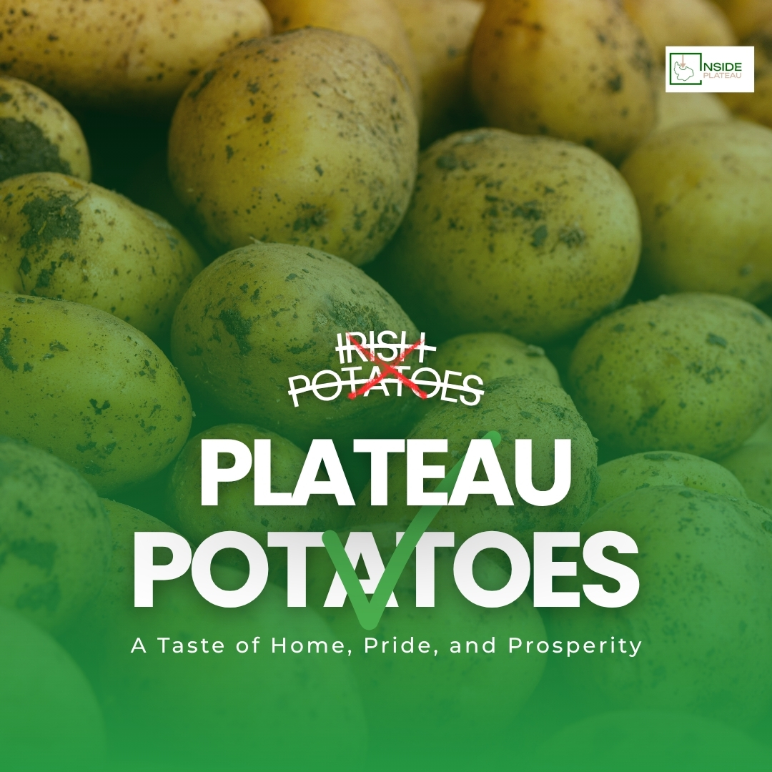 Plateau Potatoes: A Taste of Home, Pride, and Prosperity