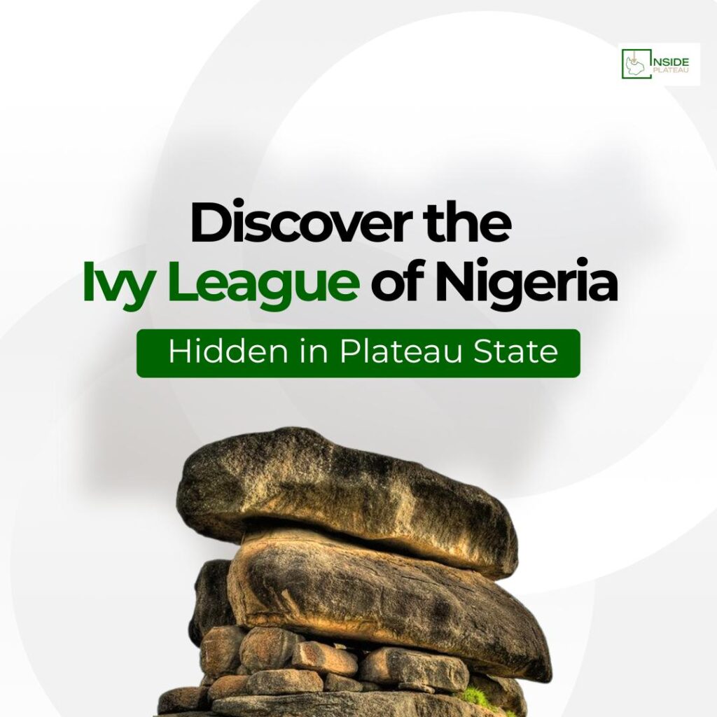 img 20251021 wa0024.jpg