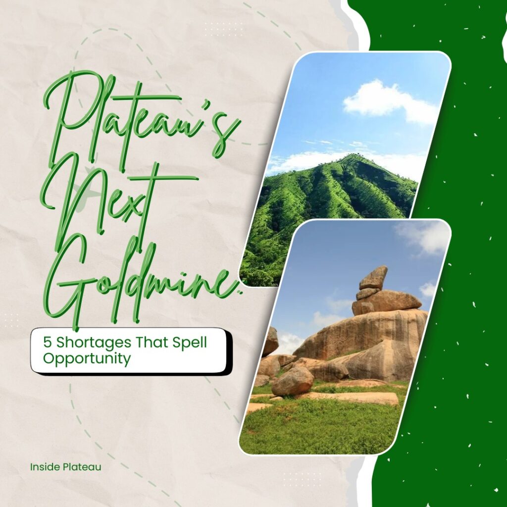 Plateau’s Next Goldmine: 5 Shortages That Spell Opportunity img 20251024 wa0011.jpg