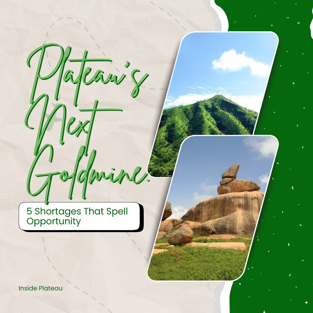 Plateau’s Next Goldmine: 5 Shortages That Spell Opportunity
