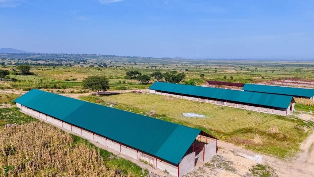 B27e721b B217 451f A598 950cf1681742 1024x576