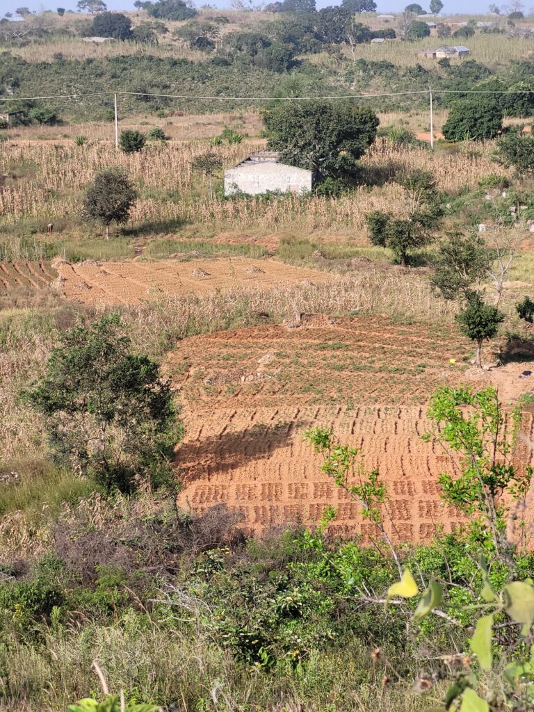 20251107 0818301768647524746845213 768x1024