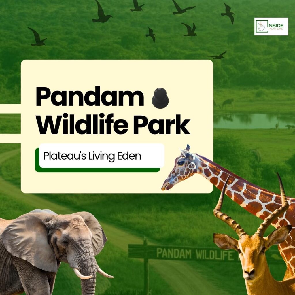 img 20251104 wa0006.jpg