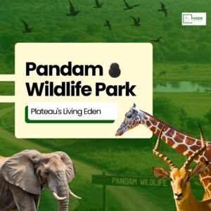 Pandam Wildlife Park: Plateau State’s Best Wildlife Park For Tourism