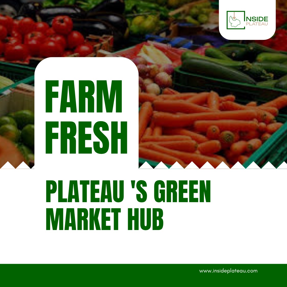 Farm Fresh: Plateau’s Ultimate Green Market Hub