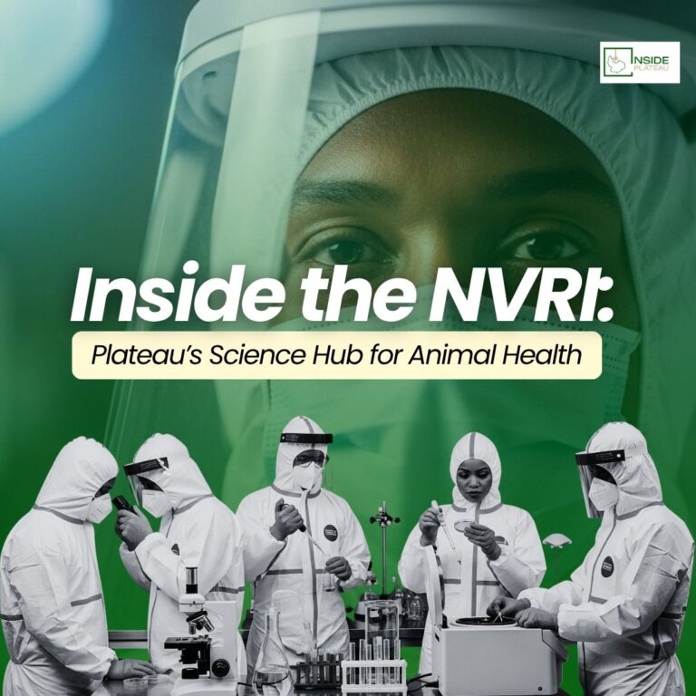 img 20251112 wa0002.jpg