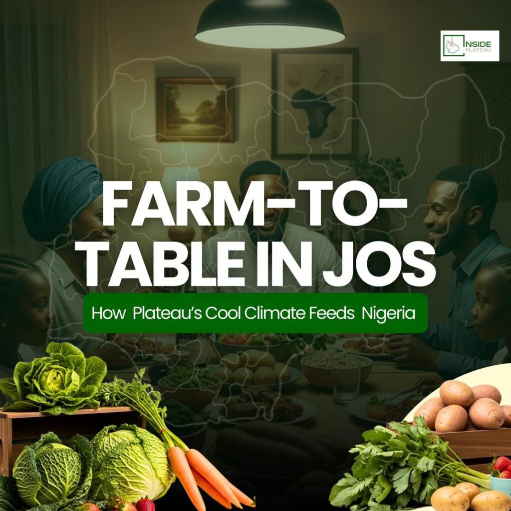 State with THE best food in Nigeria: How Plateau STATE Feeds Nigeria
