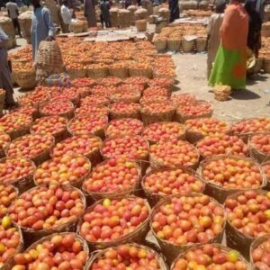 Images 311101398689534689689 300x300