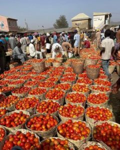 Images 325518782288375908604 240x300