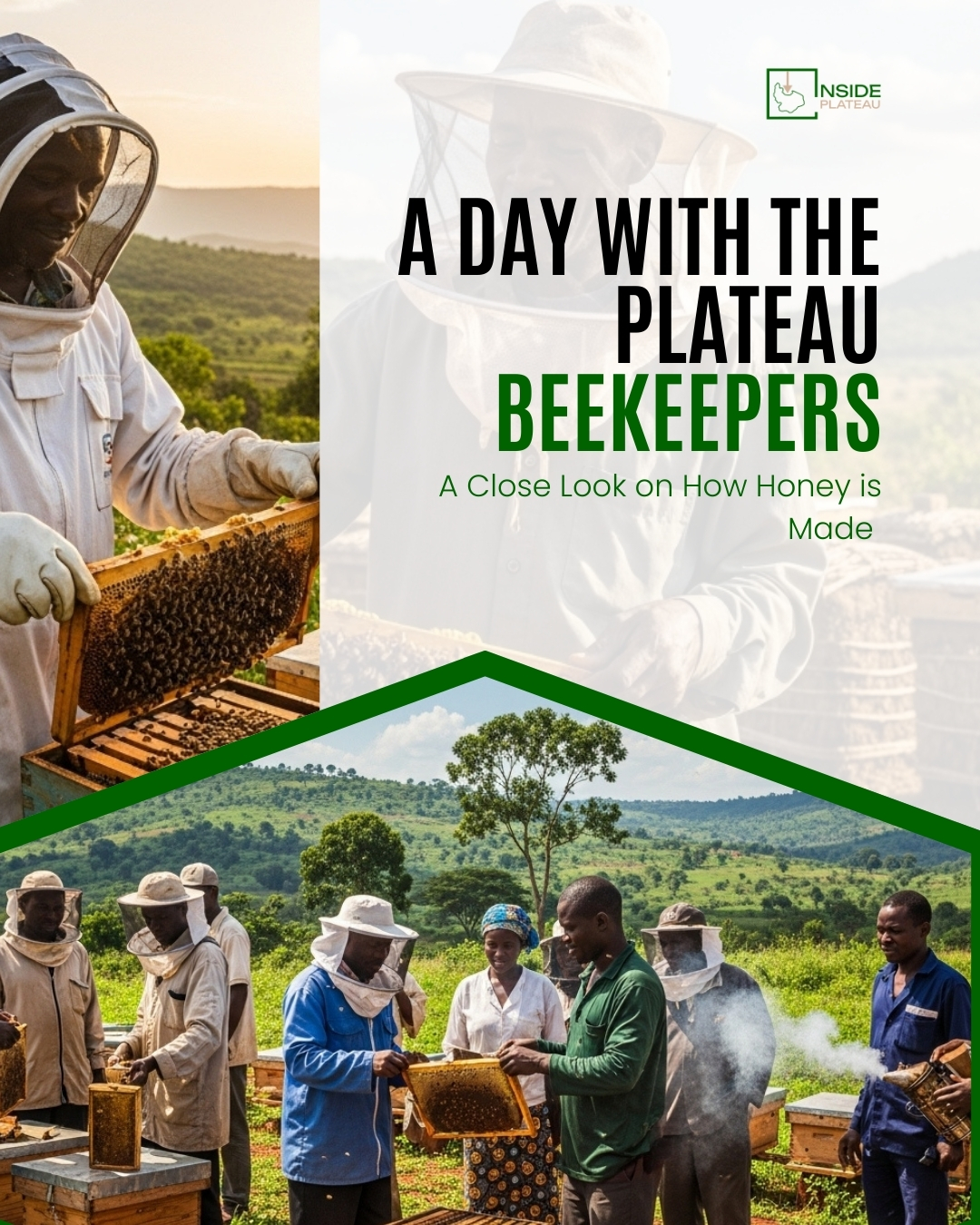 a day with the plateau beekeepers