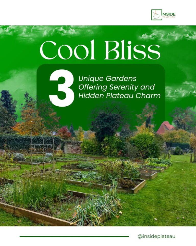 Cool Bliss: 3 Unique Gardens Offering Serenity and Hidden Plateau Charm
