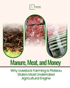 Manure, Meat, and Money: Why Livestock Farming Is Underrated