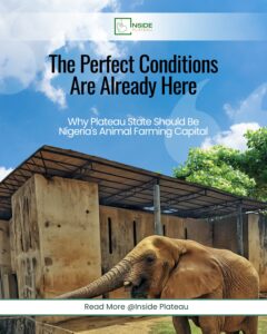Perfect Conditions Are Here: Why Plateau State Should Be Nigeria’s Animal Farming Capital
