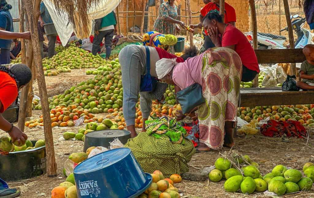 Fruit Market at Mararaban Jama’a, March 2026 by Hanniel Yakubu