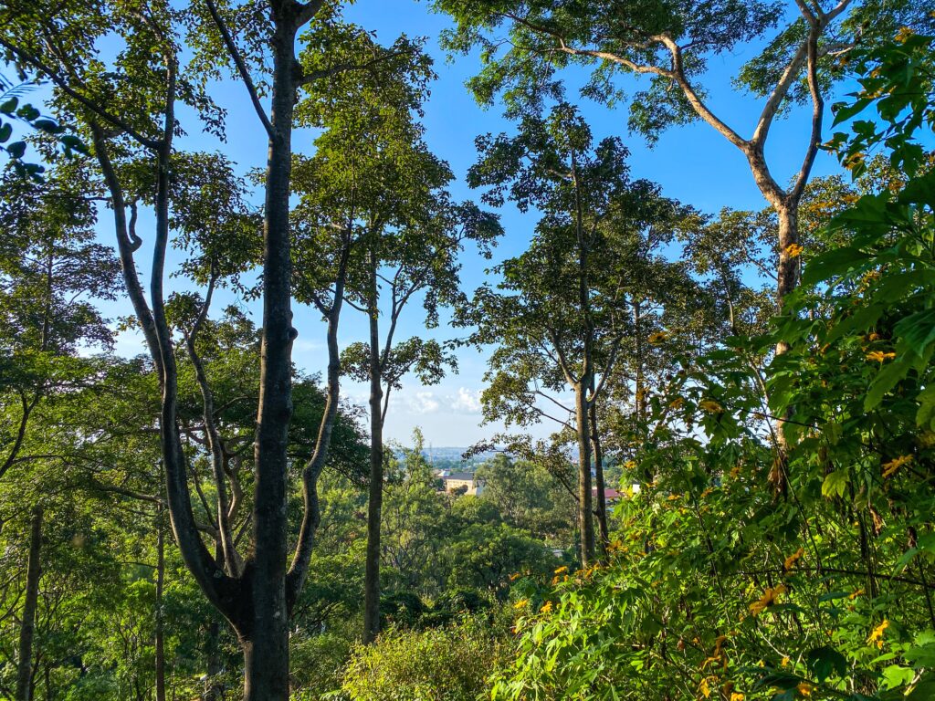 View from the top of The 100 Steps to Afizere Settlement, October 2024 by Hanniel Yakubu