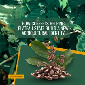 How Coffee Is Helping Plateau State Build a New Agricultural Identity