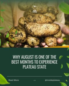 Why August Is One of the Best Months to Experience Plateau State