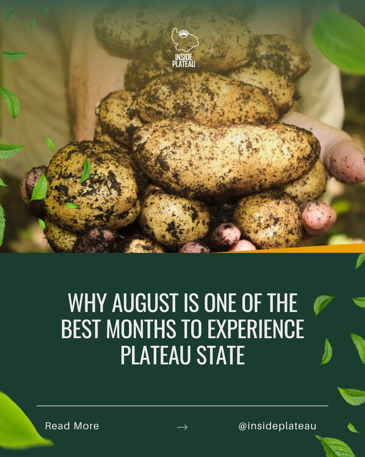 Why August Is One of the Best Months to Experience Plateau State