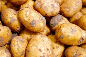 Crops Grown in Plateau State: What the State Produces and Where