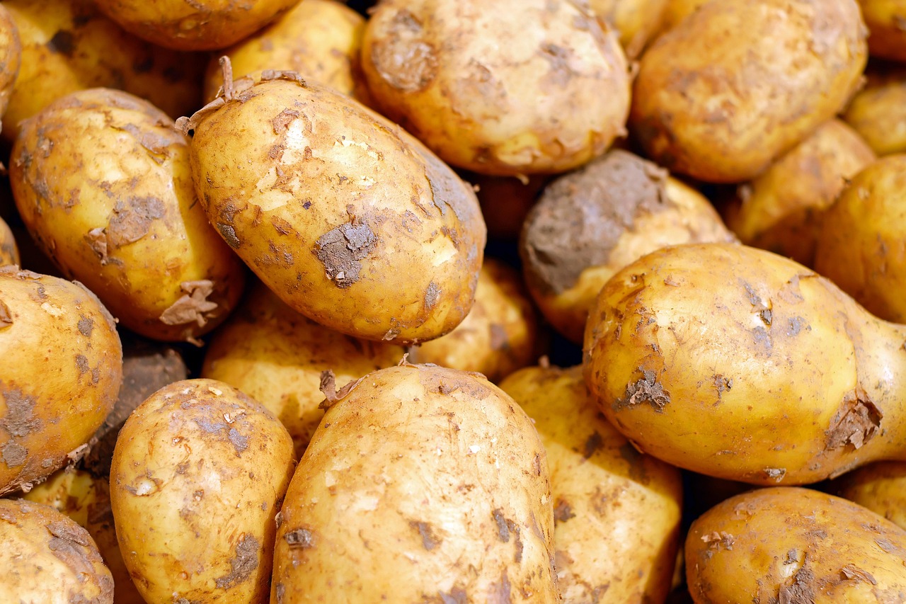Crops Grown in Plateau State: What the State Produces and Where
