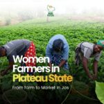 women farmers in plateau state