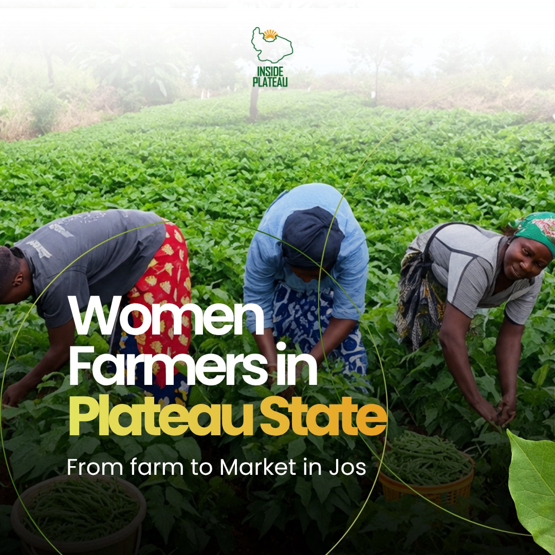 Women Farmers in Plateau State: From Farm to Market in Jos